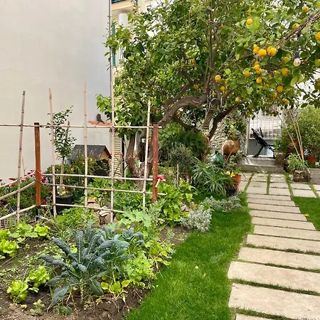 Neroli' Furci Siculo